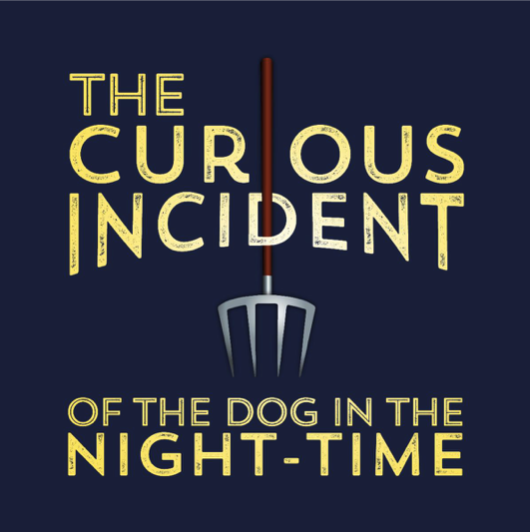 The Curious Incident of the Dog in the Night-Time by Playhouse 2000