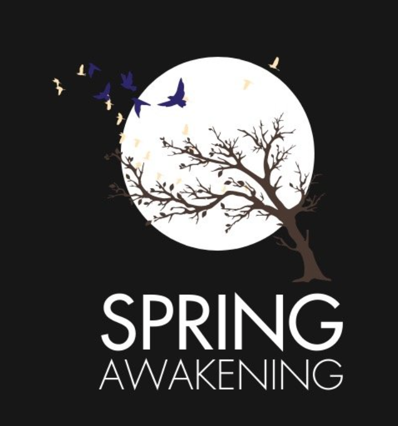 Spring Awakening by Silent House Theatre (SH.)