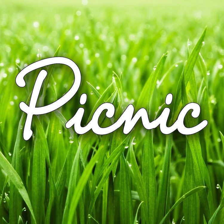 Picnic by Wimberley Players