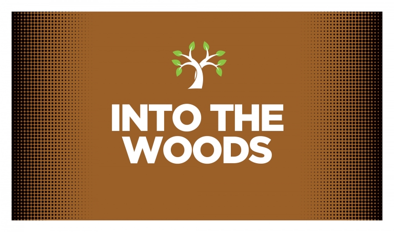 Into The Woods by Zach Theatre