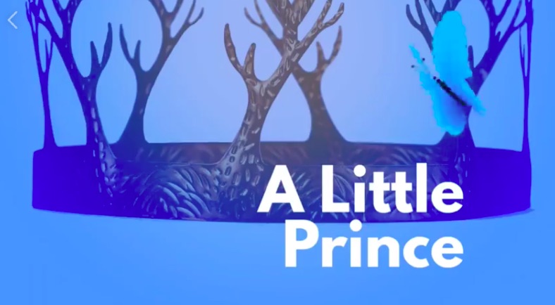 The Little Prince by McCallum Fine Arts Academy