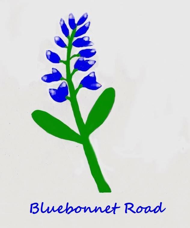 Bluebonnet Road by Louise Richardson