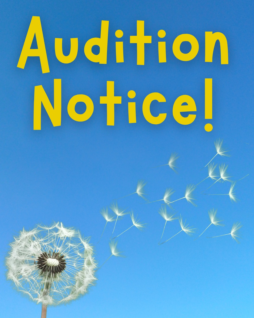 CTX4223. Auditions for Carmela,  Full of Wishes, by Austin Playhouse