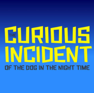 uploads/posters/curious_incident_circle.png