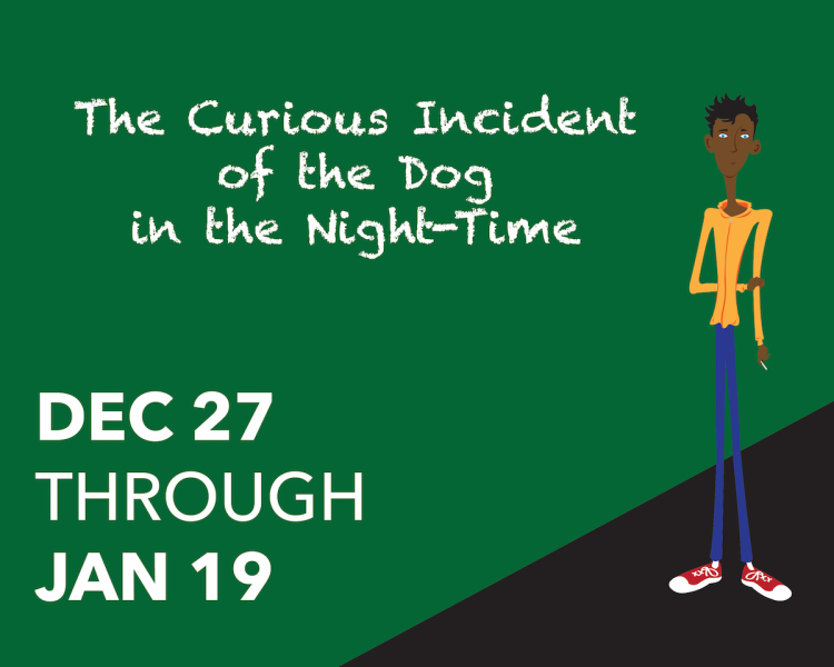 The Curious Incident of the Dog in the Night-Time by The Public Theater
