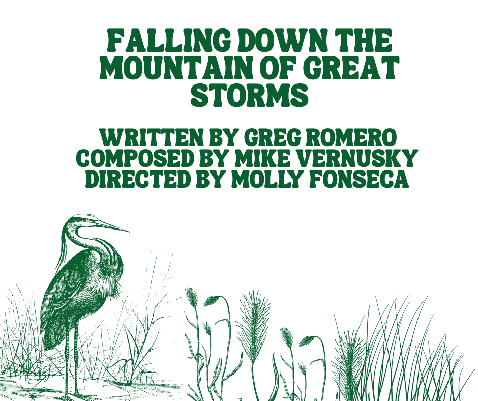 CTX4267. Auditions for Falling Down the Mountain of Great Storms, by Broad Theatre