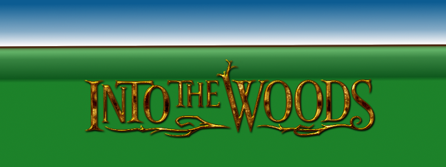Into The Woods by The Theatre Company