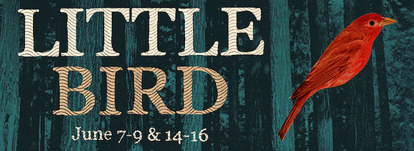 Little Bird by Heartland Theatre Collective