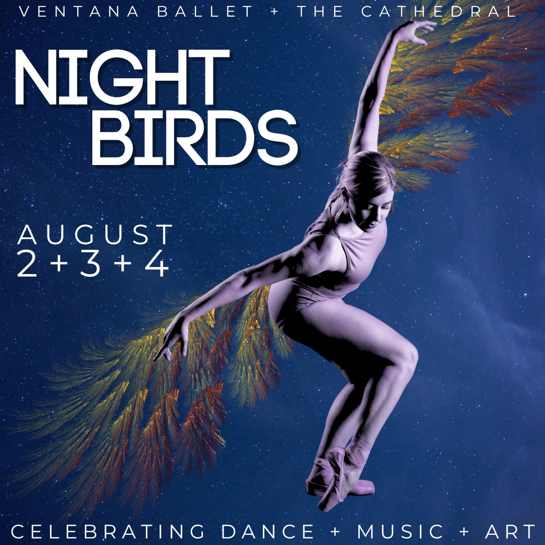 Night Birds by Ventana Ballet