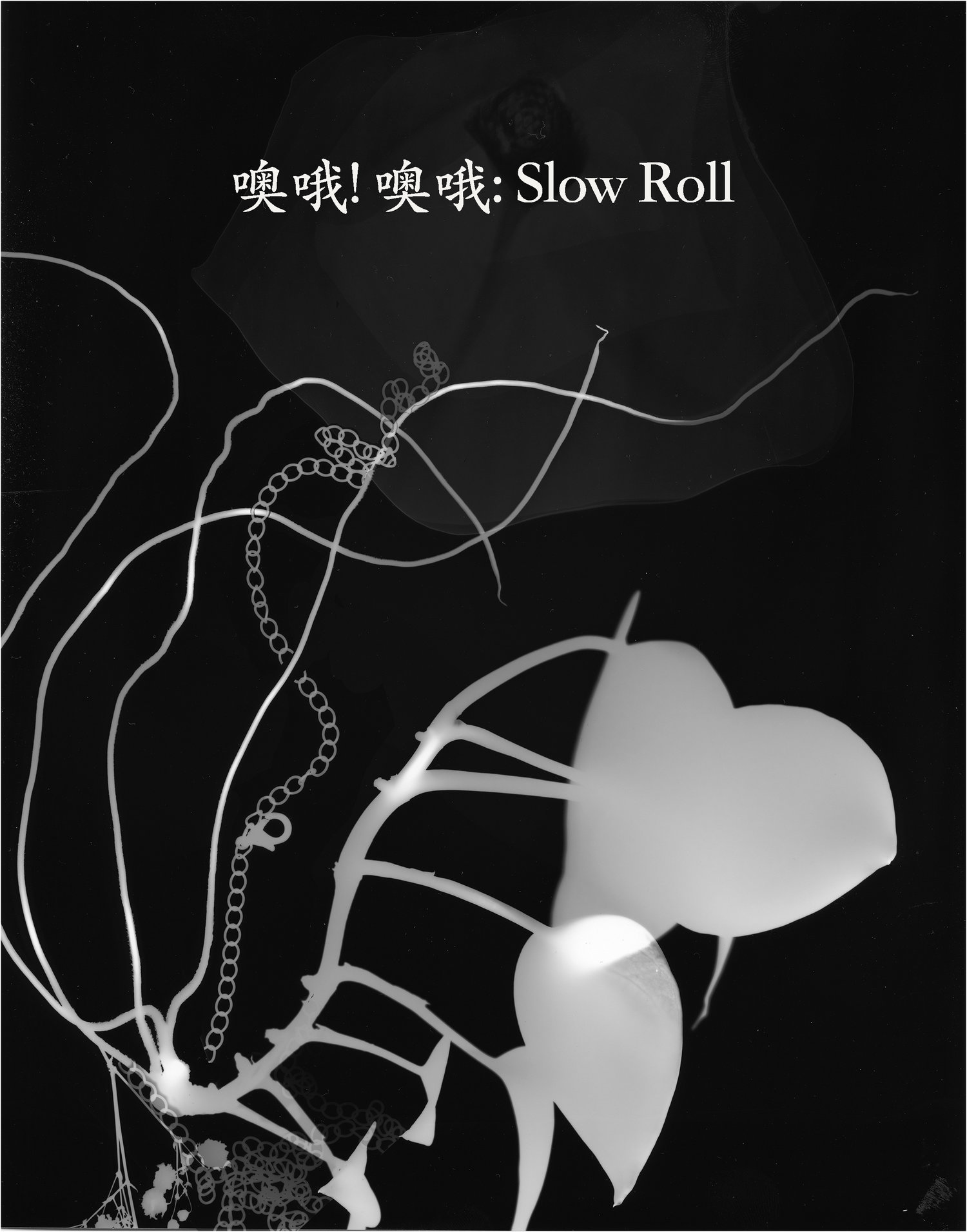 Slow Roll by Salvage Vanguard Theater