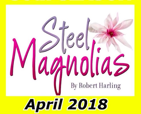 Steel Magnolias by Circle Arts Theatre