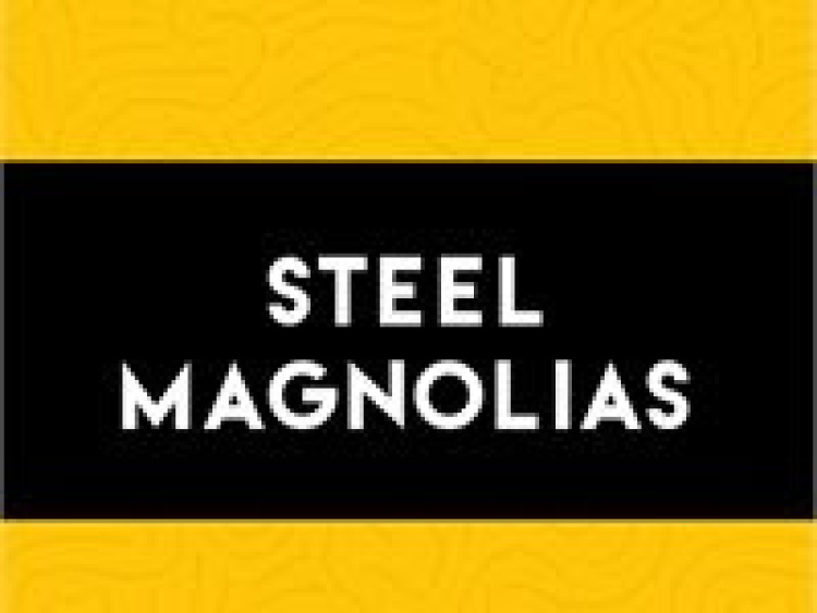 Steel Magnolias by Central Texas Theatre (formerly Vive les Arts)