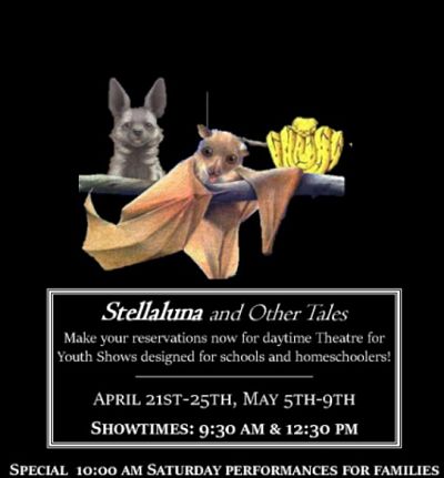 Stellaluna and Other Tales by Georgetown Palace Theatre