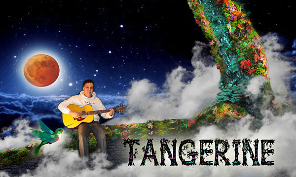 Tangerine: A musical tribute to all who have loved and lost by Ryan Layden