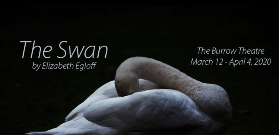 uploads/posters/the_swan_burrow_theatre_jpg.jpg