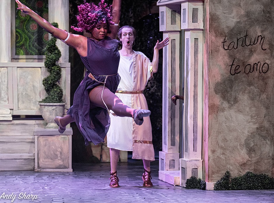 uploads/production_images/a_funny_thing_happened_on_the_way_to_the_forum_andy_sharp_georgetown_palace/ft_04.jpeg