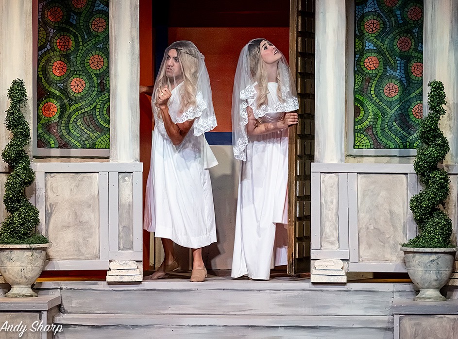 uploads/production_images/a_funny_thing_happened_on_the_way_to_the_forum_andy_sharp_georgetown_palace/ft_09.jpeg