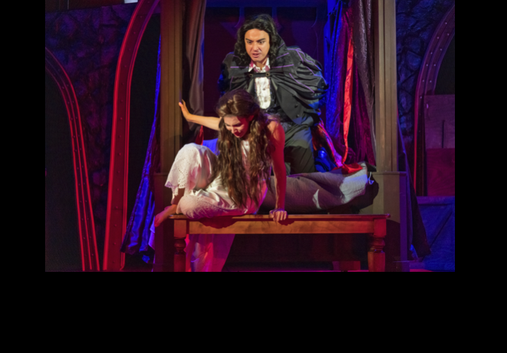 Review #2 of 2:  Dracula: Mina's Quest (adapted by Dietz) by Zach Theatre
