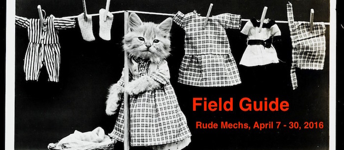Field Guide by Rude Mechs