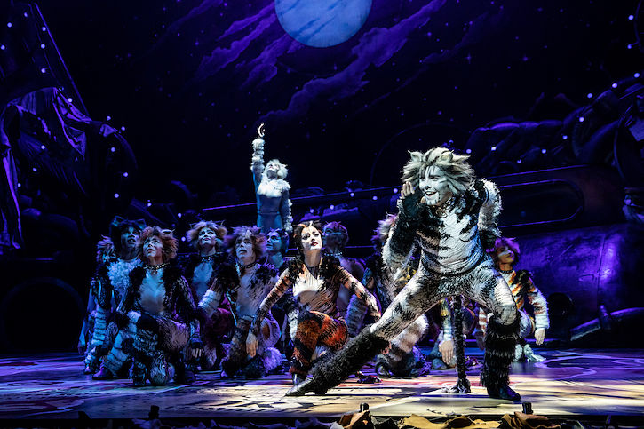 Cats the Musical • North American Tour • Official Website & Tickets